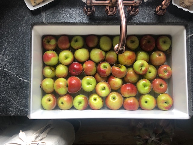fresh picked apples