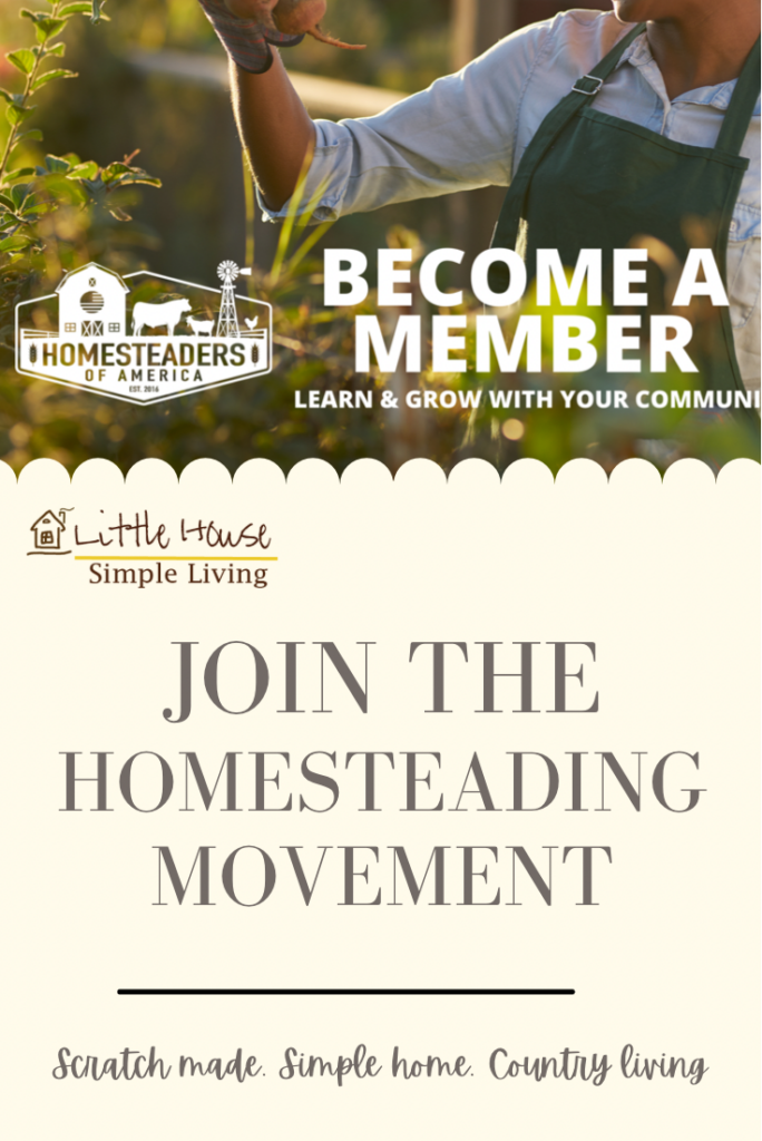 The homesteading movement