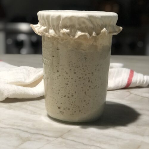 sourdough starter