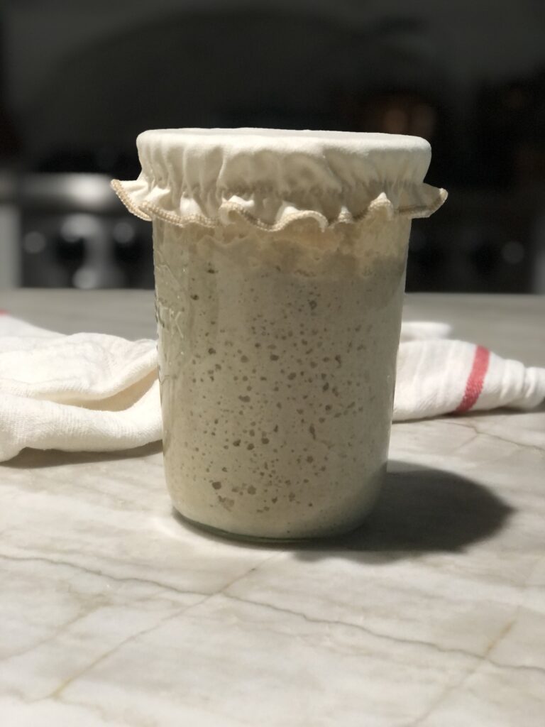 sourdough starter