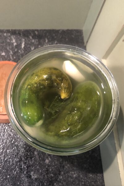Fermented garlic dill pickles