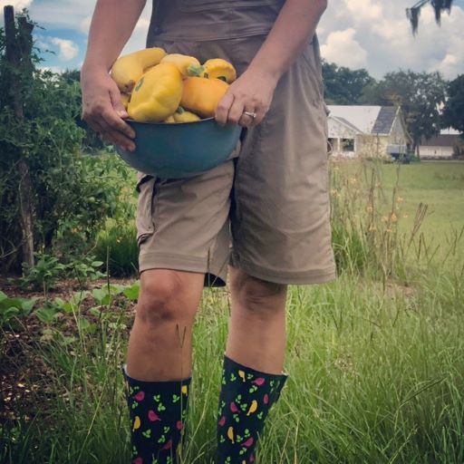 growing zuchinni