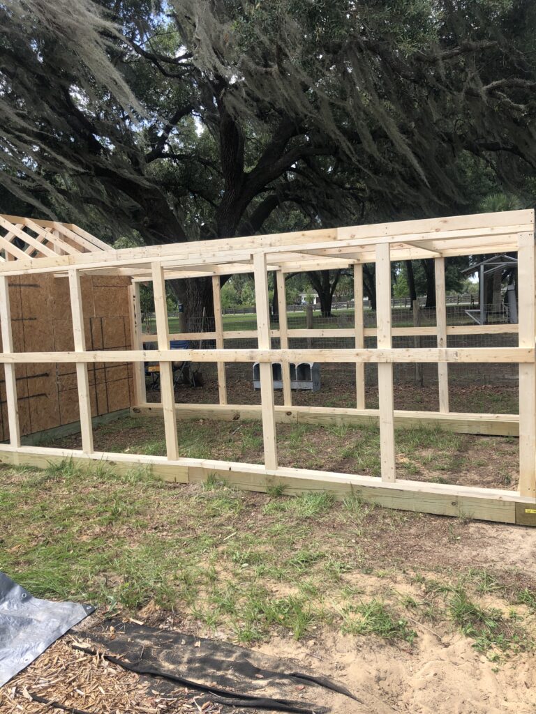 Build a chicken coop