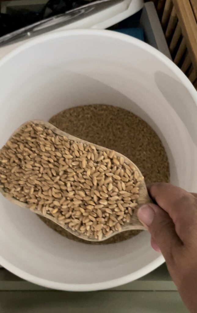 Grind your own wheat