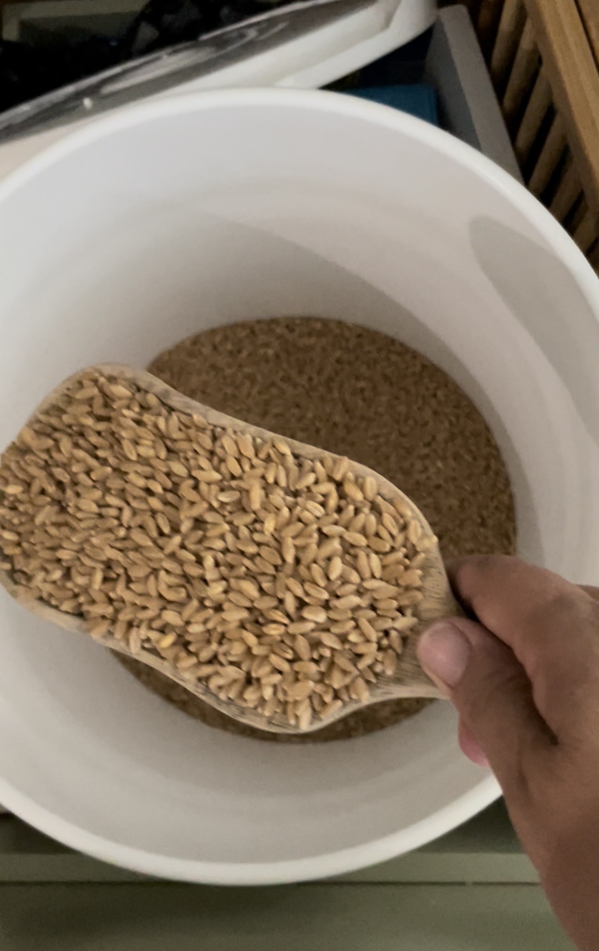 How To Grind Your Own Wheat