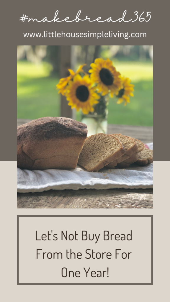 make nutritious bread