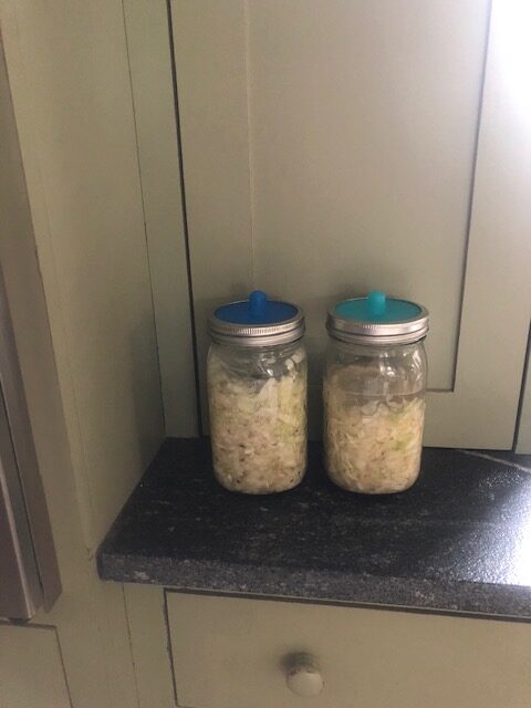 fermented sauerkraut