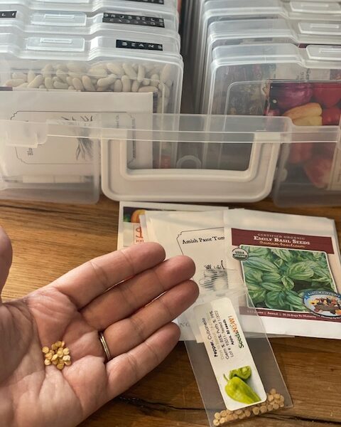 vegetable seed planting