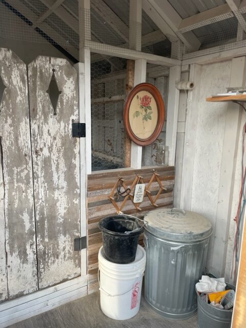 chicken coop storage