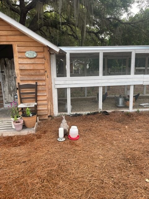 chicken coop