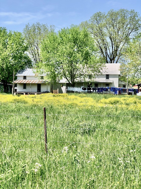 Amish clothesline