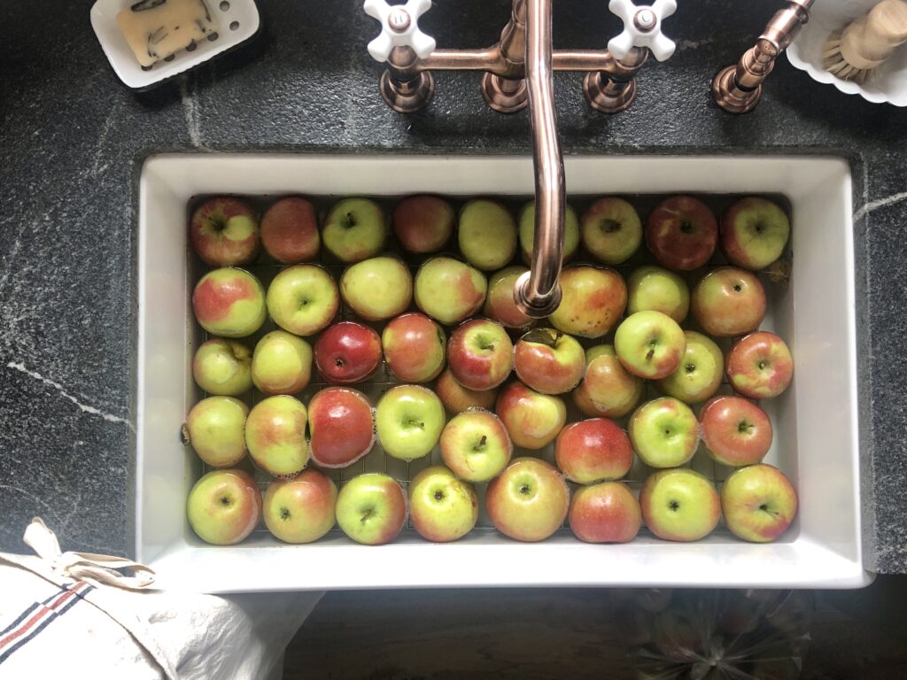 Apple season