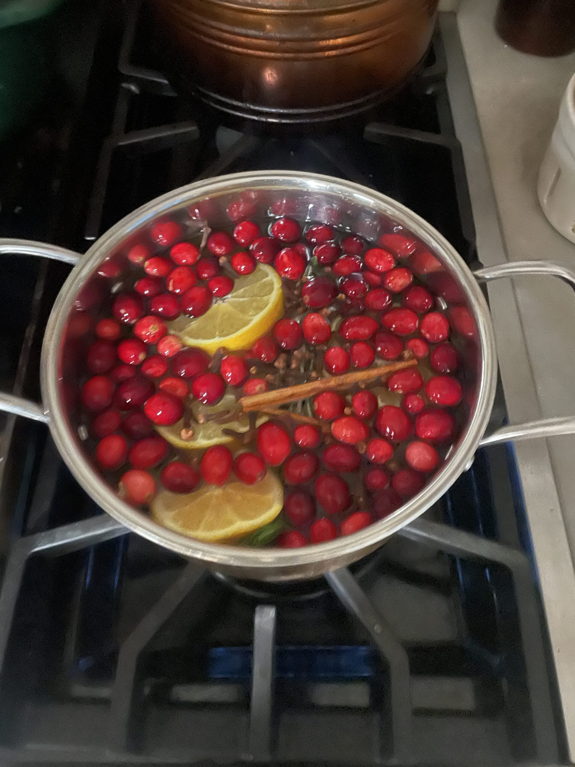 Christmas Stove top potpourri
