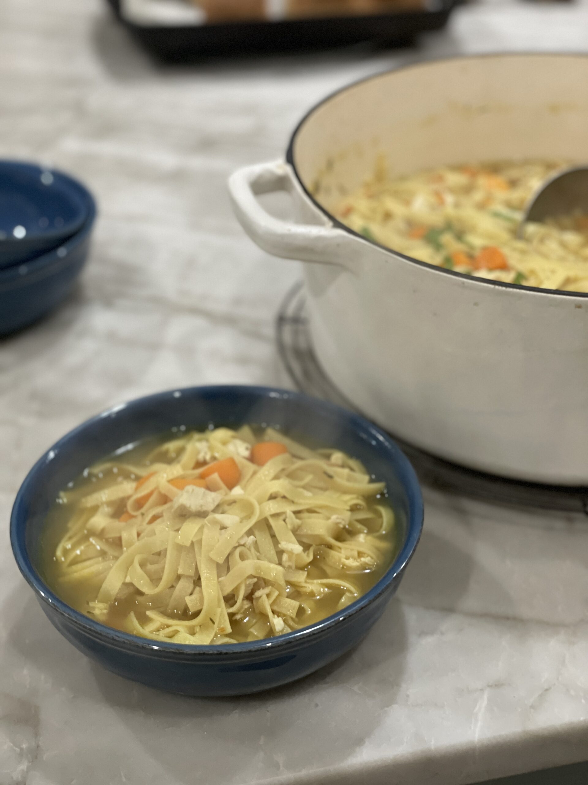Chicken noodle soup