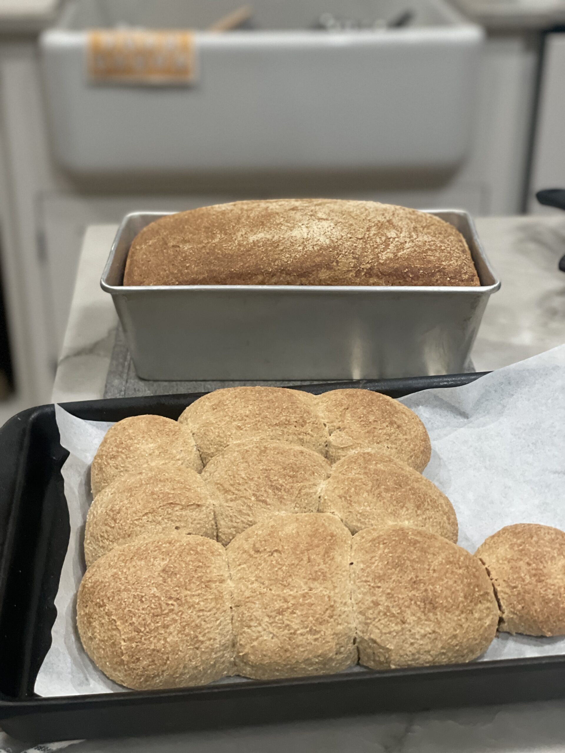 Fresh Milled Flour Dinner Rolls