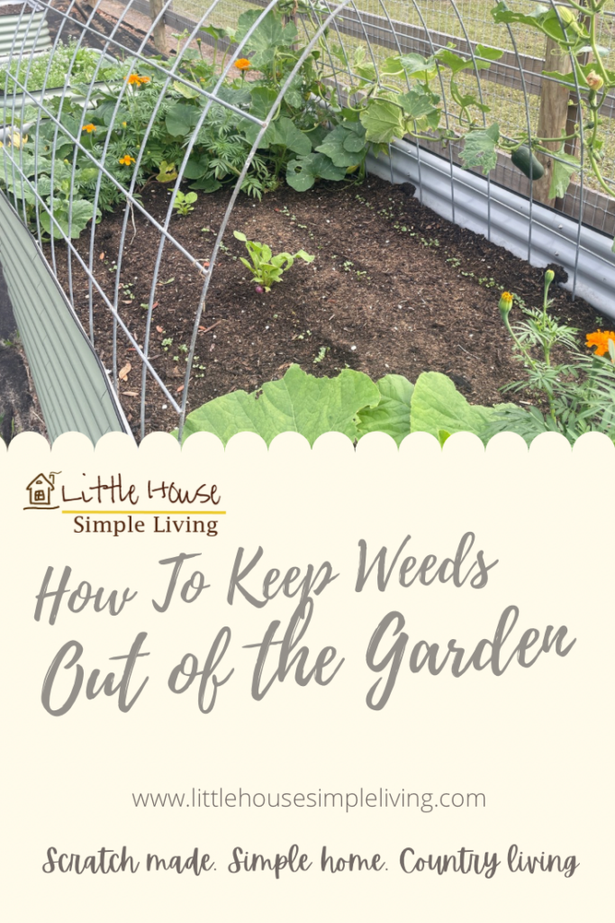 How to keep weeds out of the garden