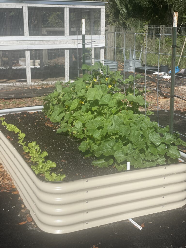 Keep weeds out of the garden