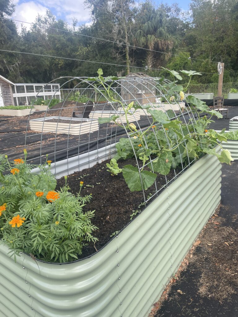 Keep weeds out of the garden