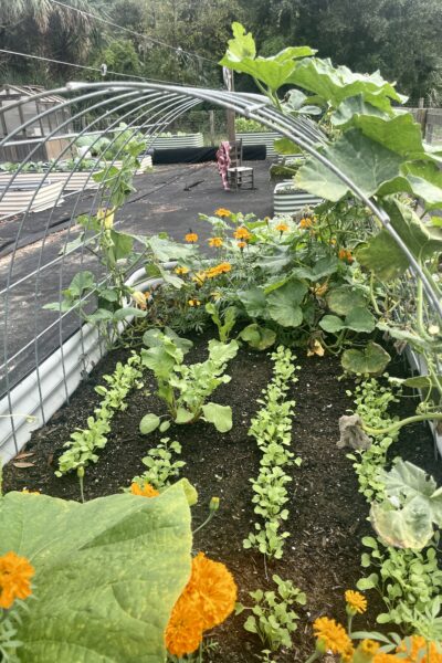 Keep weeds ou of the garden