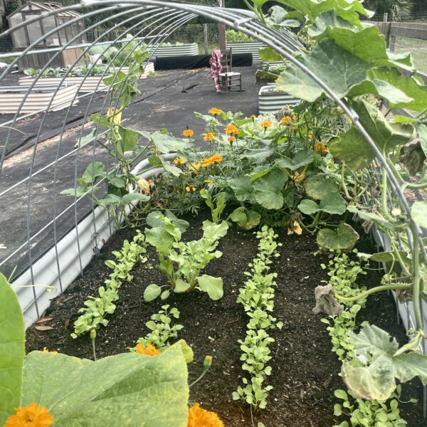 Keep weeds ou of the garden