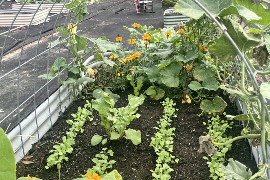 Keep weeds ou of the garden