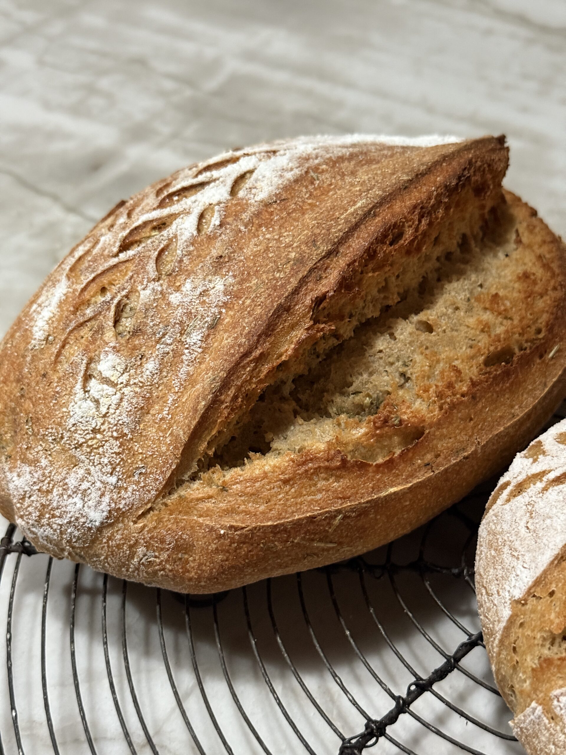 Tuscan sourdough loaf