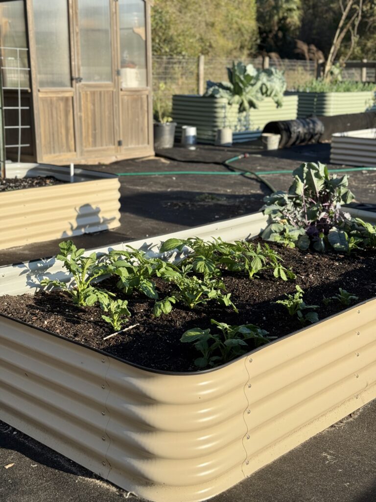Benefits of Metal raised beds