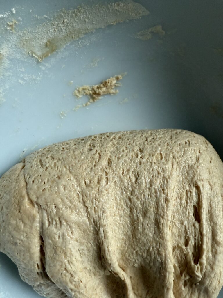 Sourdough Bulk Fermentation