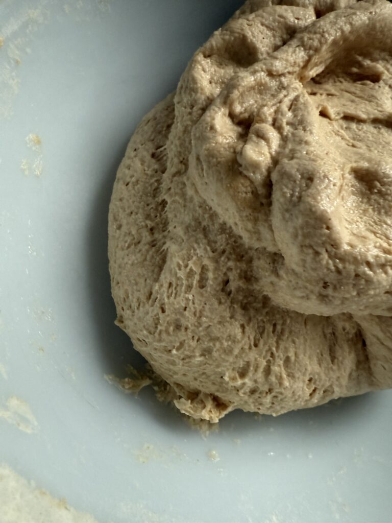 Sourdough Bulk Fermentation
