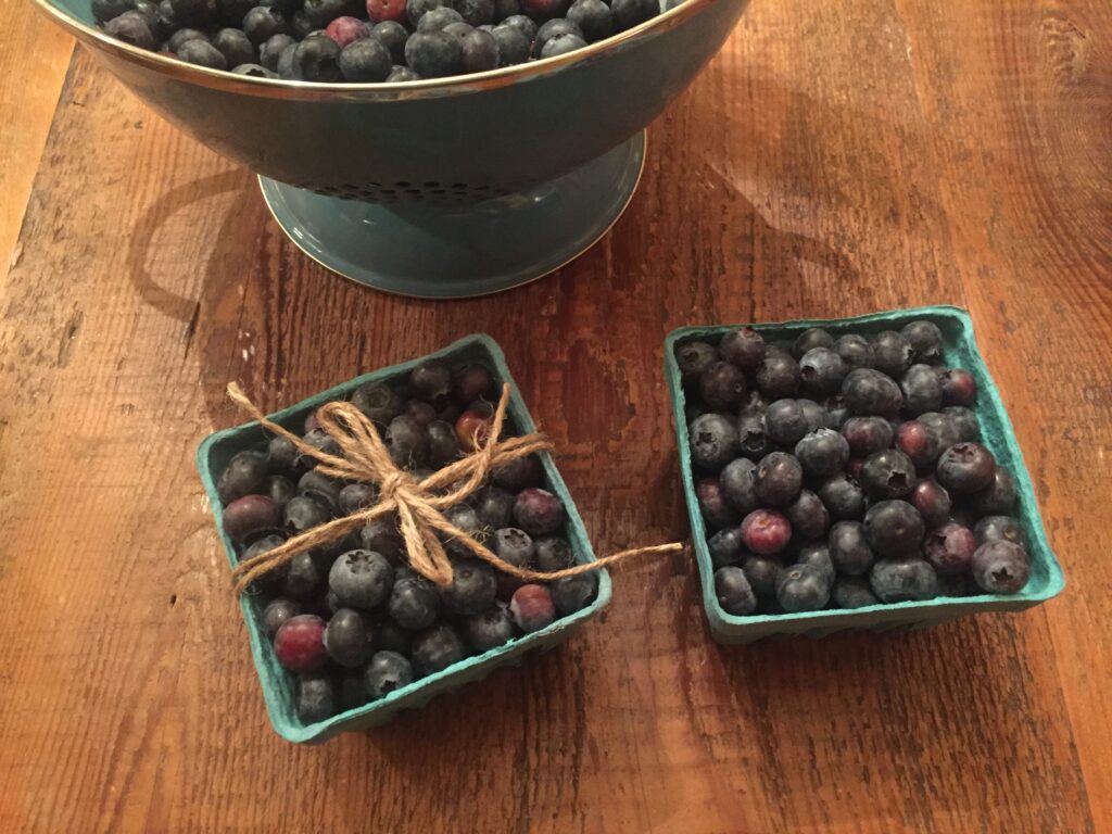 Blueberries