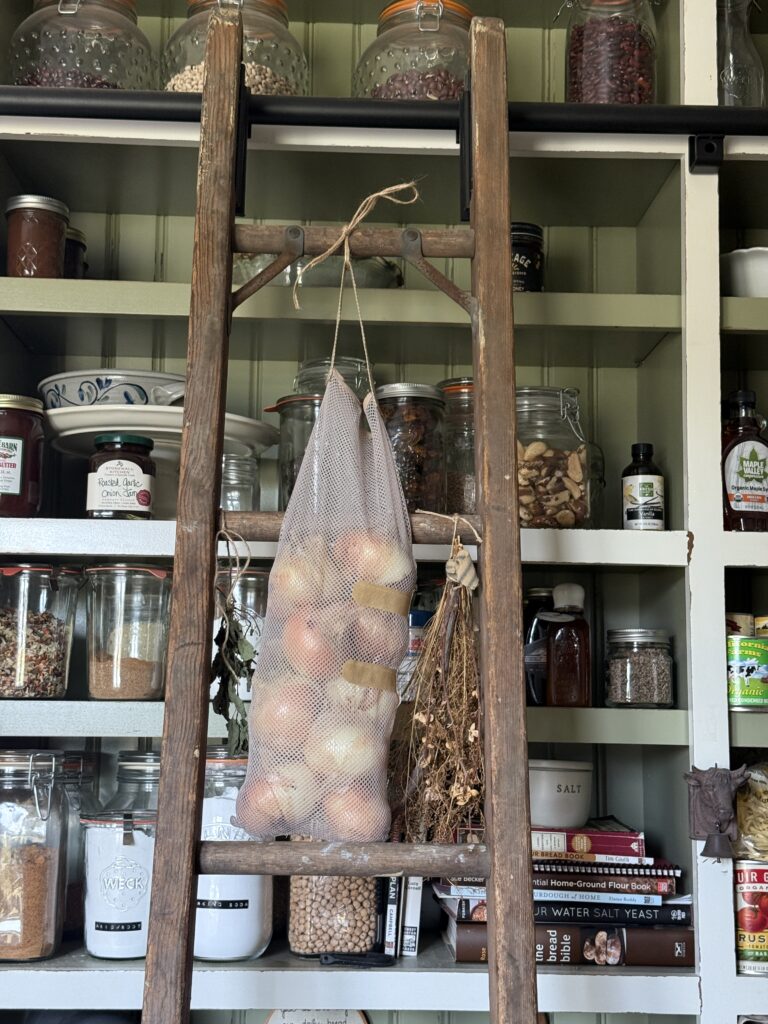 Storing onions