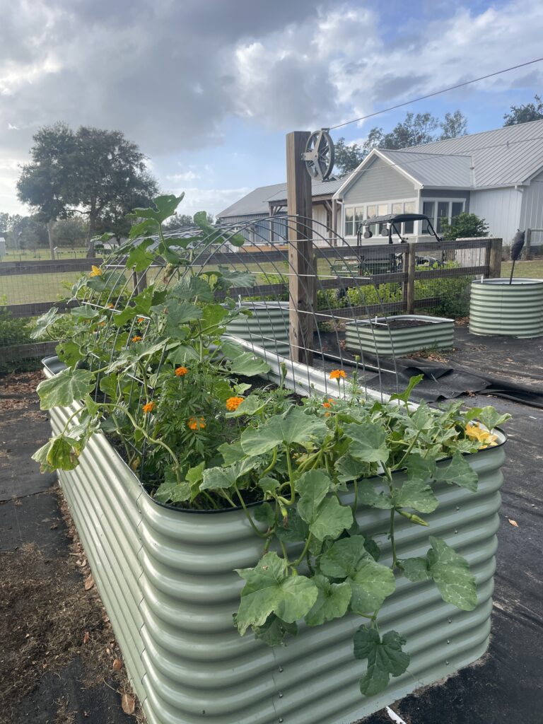 Benefits of Metal raised beds