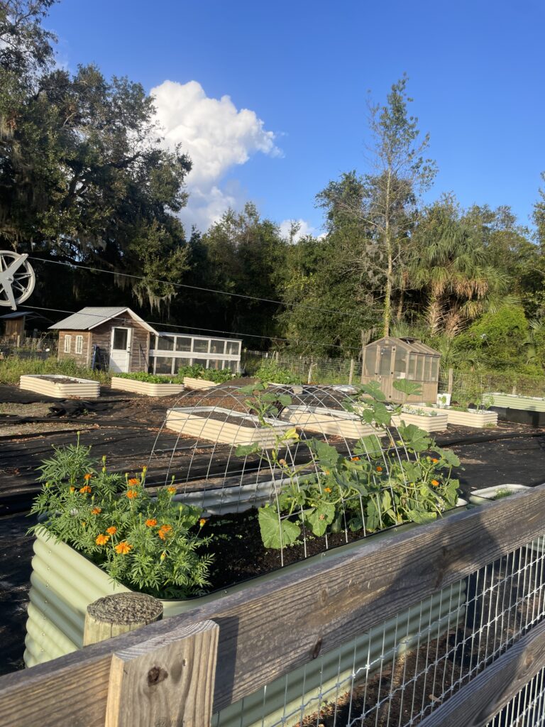 Benefits of Metal raised beds