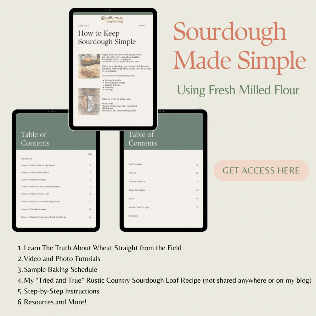Sourdough Made Simple