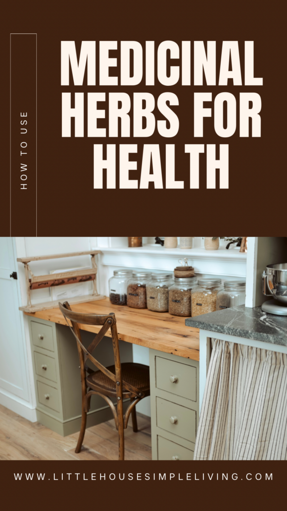 How to use medicinal herbs for health