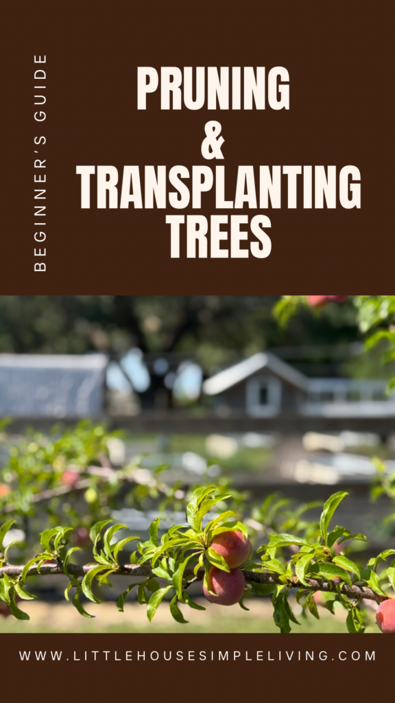 Pruning and transplanting trees