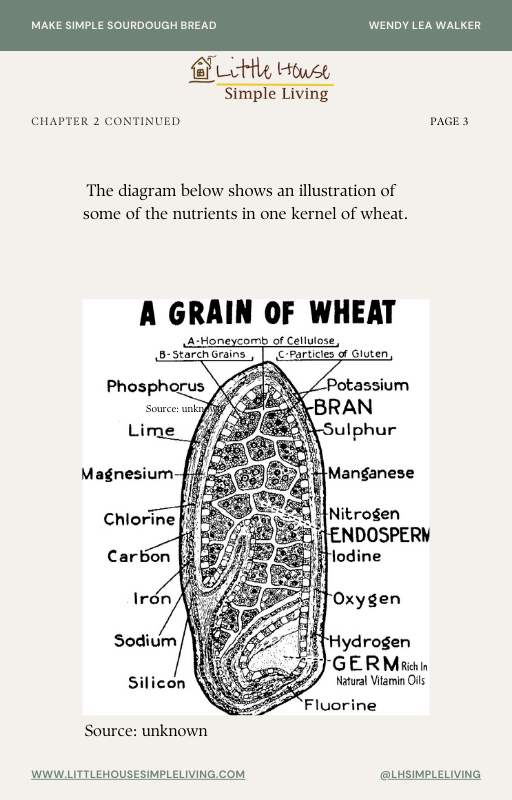 Sourdough made Simple