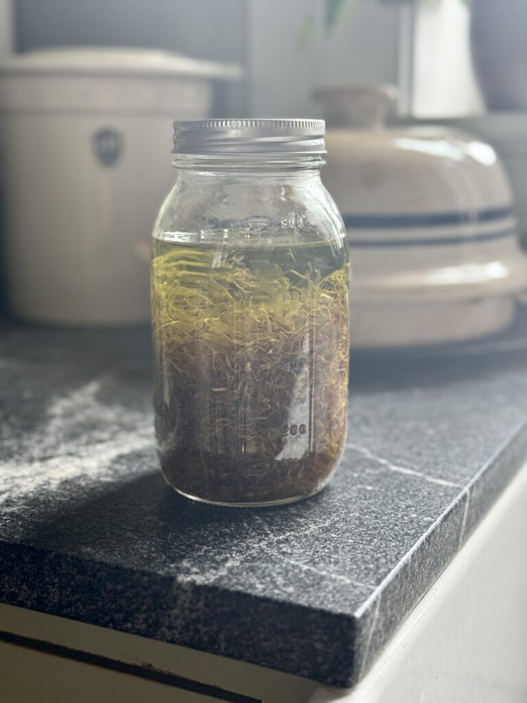 Calendula oil