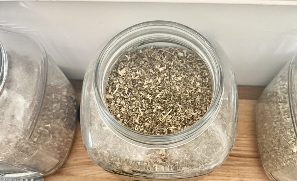 Lemon Balm Herbs