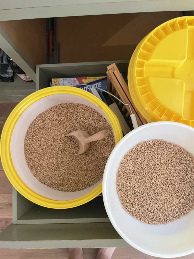 Wheat berries