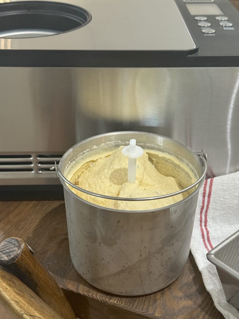 Butter maple pecan ice cream
