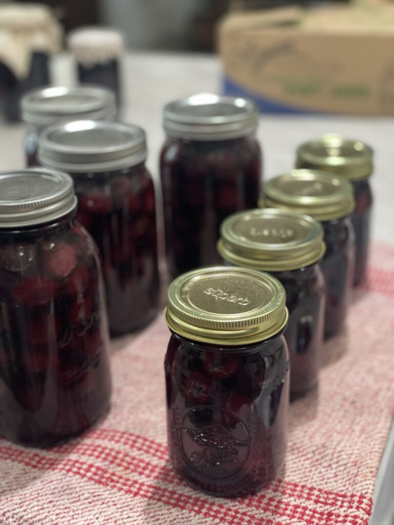 Canning Cherries