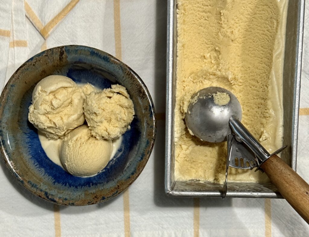 Vanilla Bean Ice Cream
