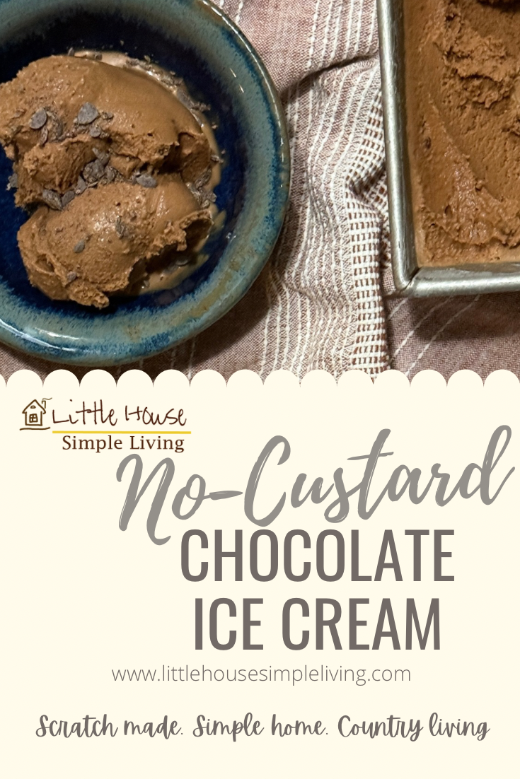 No-custard chocolate ice cream