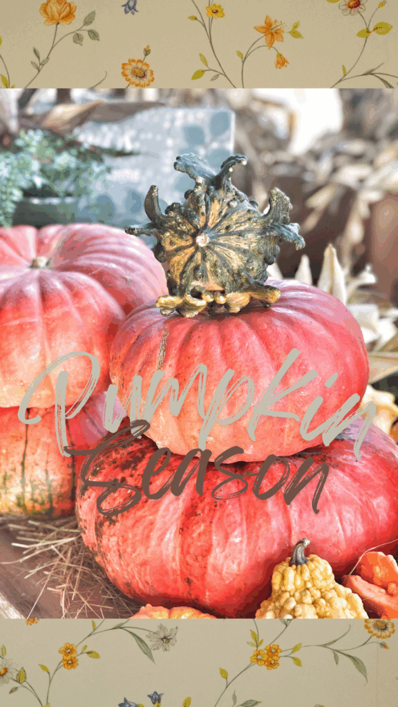 Pumpkin Season Free Fall Phone Wallpaper