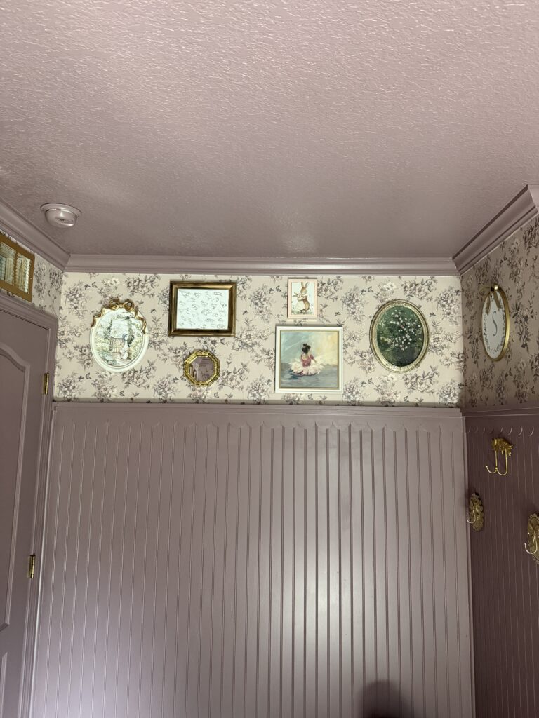 Vintage Baby Girl Nursery