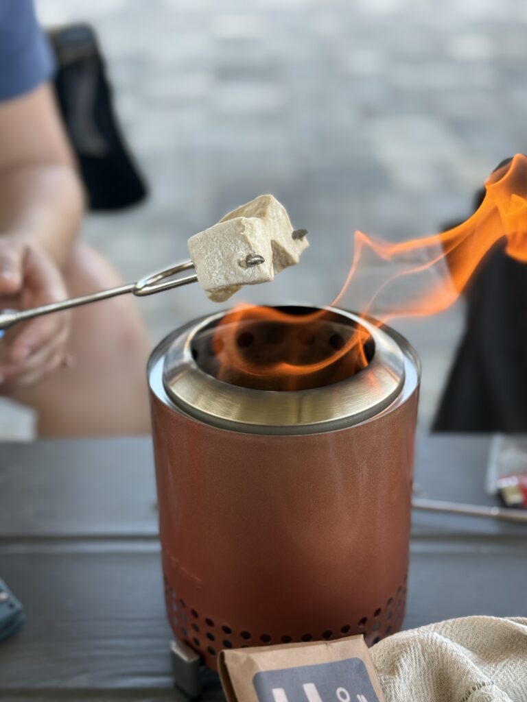 Roasting marshmallows