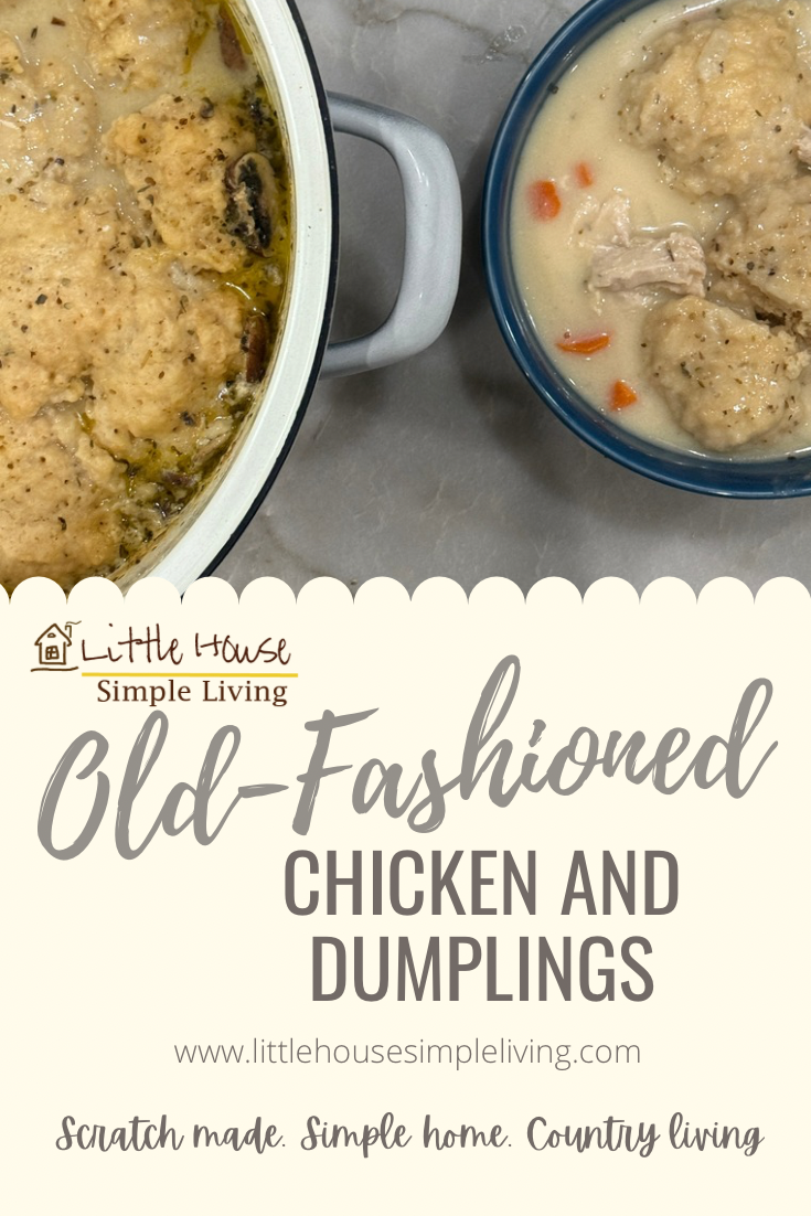 Old-fashioned chicken and dumplings