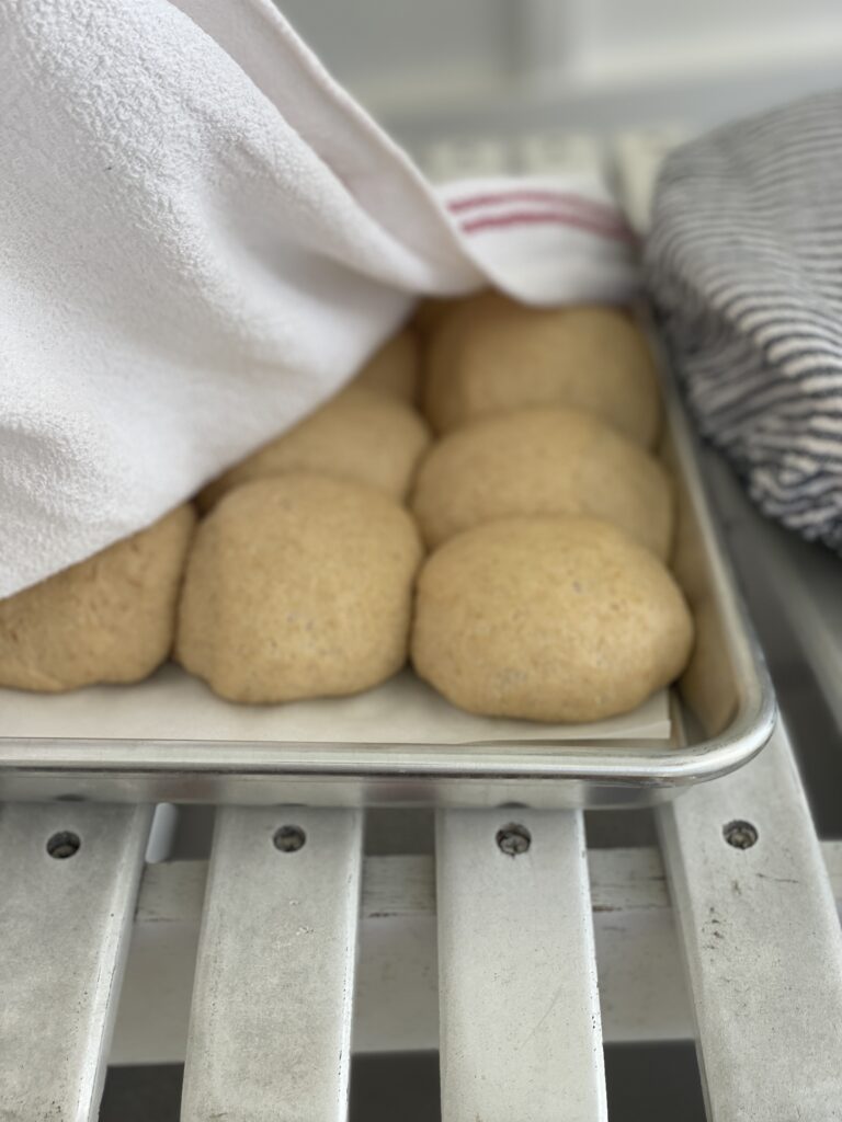 Freshly-milled dinner rolls