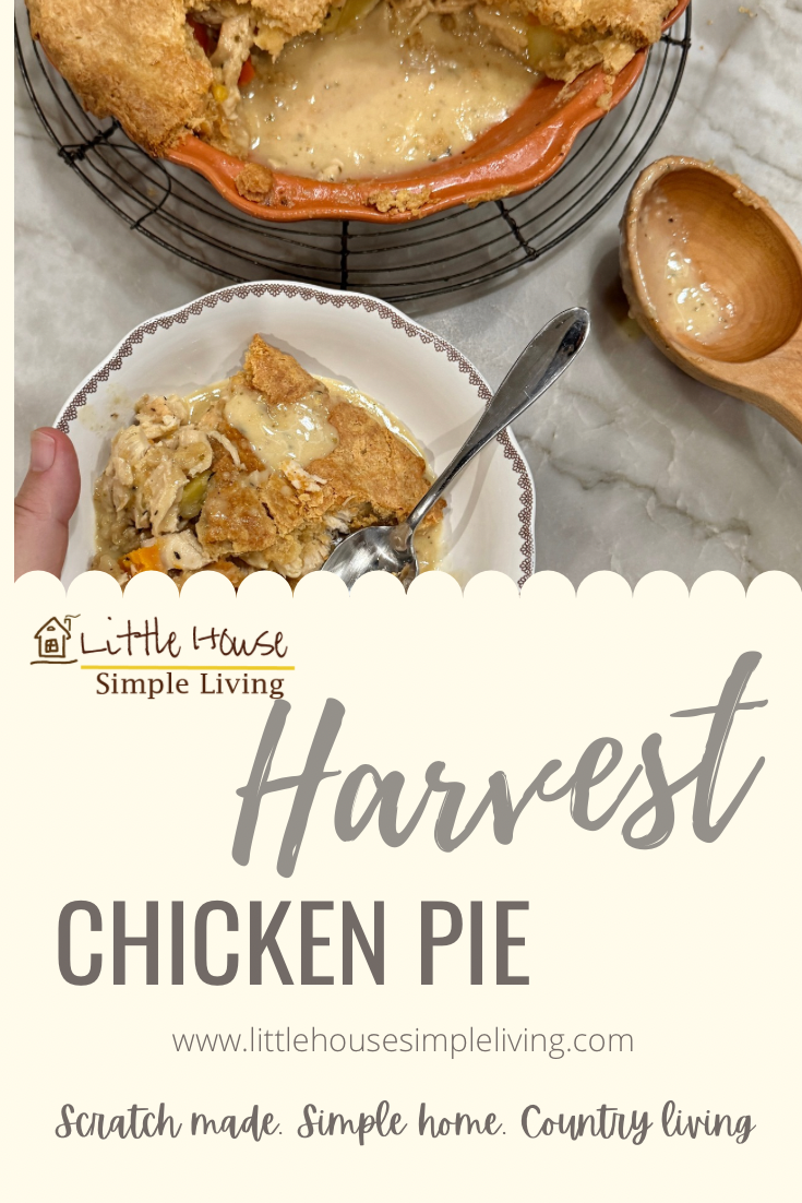 Harvest chicken pie
